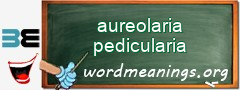 WordMeaning blackboard for aureolaria pedicularia